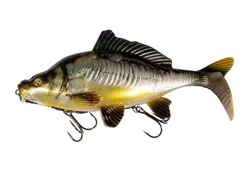 fishandnature-1855653