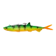 fishandnature-1855684