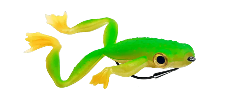 fishandnature-1857482