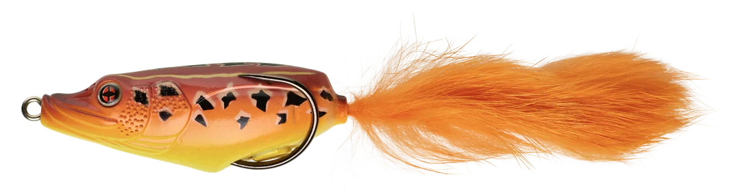 jkfisher1333831