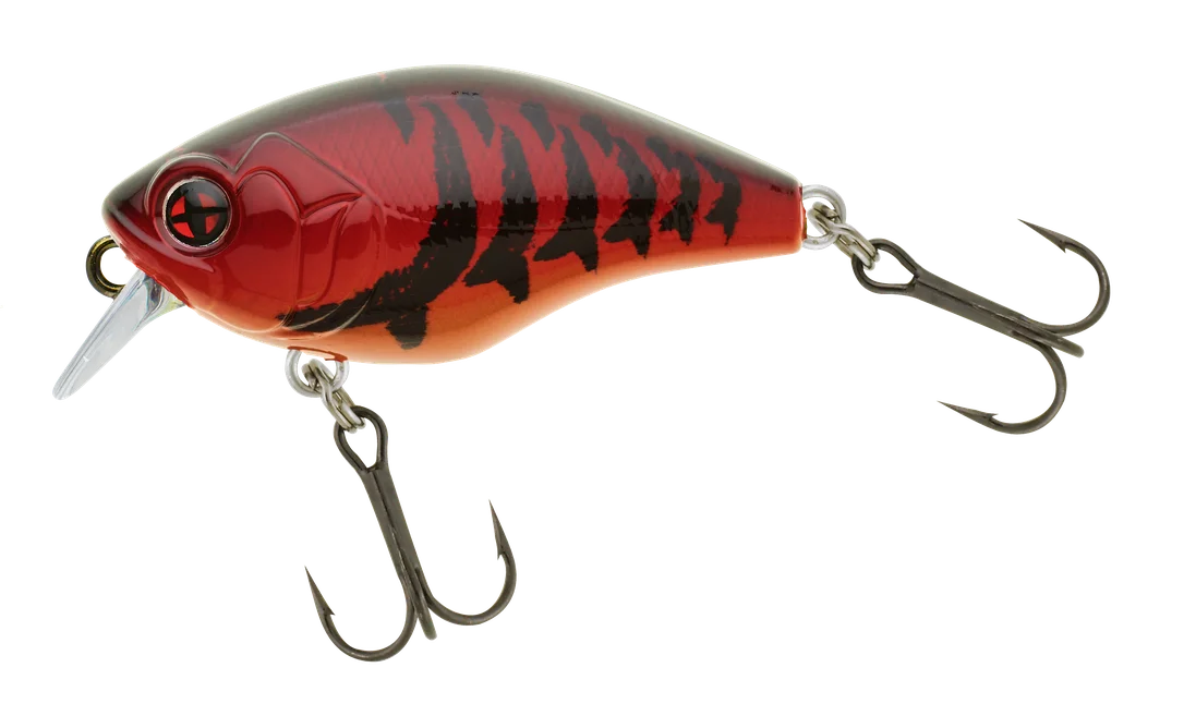 jkfisher1338052