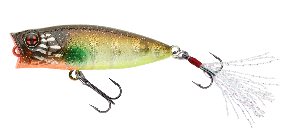jkfisher1339929