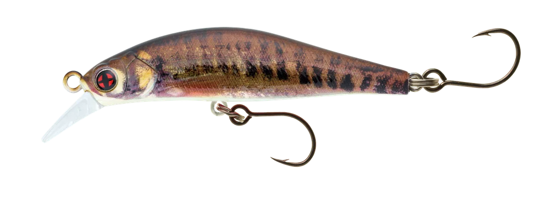 jkfisher1340938