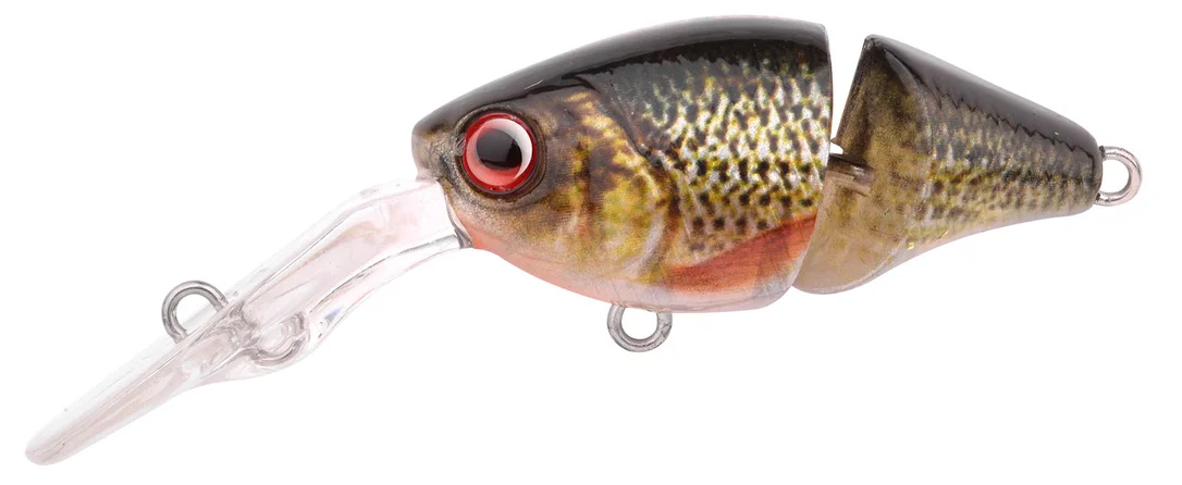 jkfisher1345026