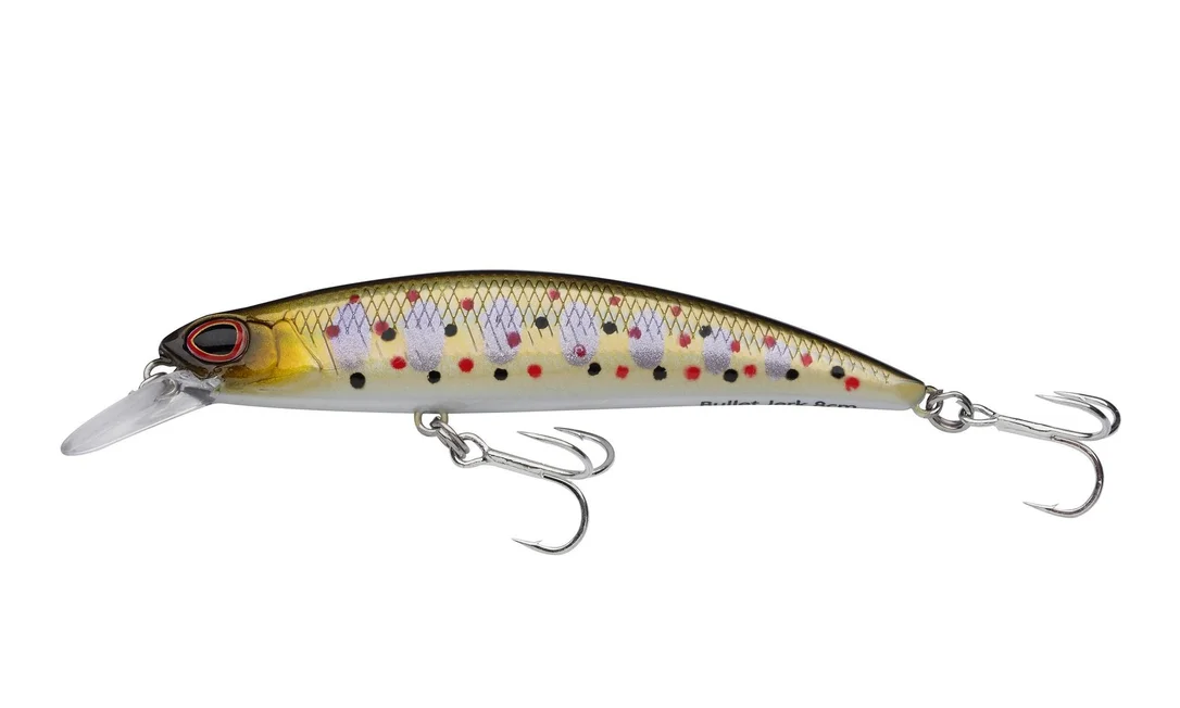 jkfisher1349033