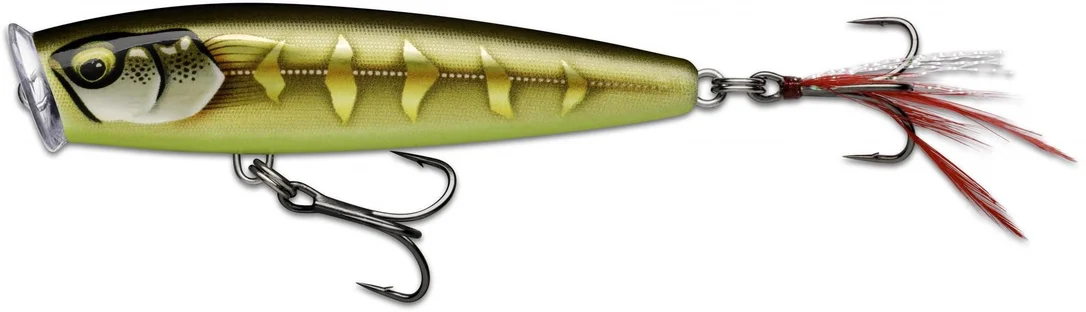 jkfisher1349404