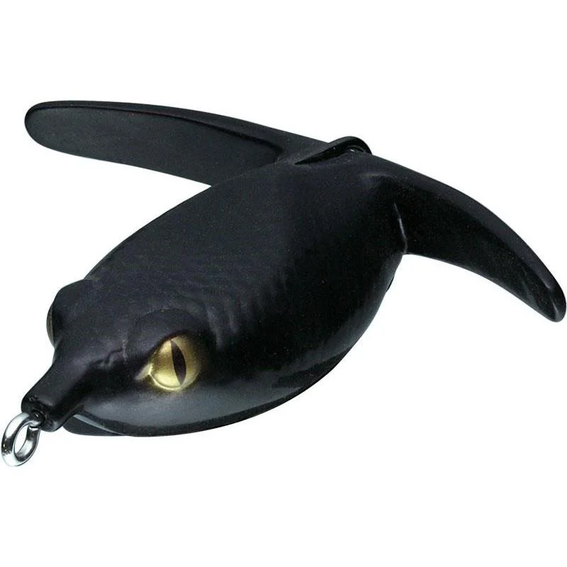 jkfisher1350583
