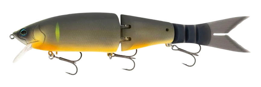 jkfisher1350950