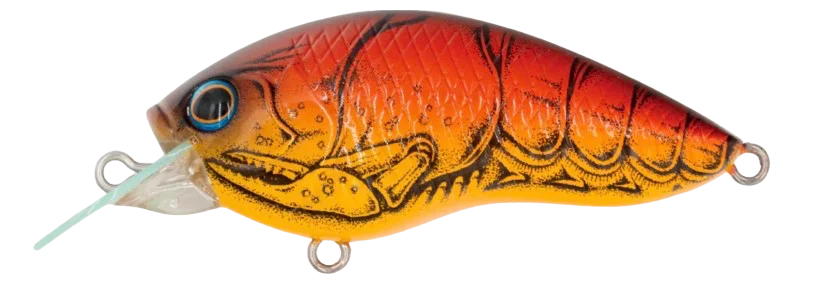 jkfisher1351562