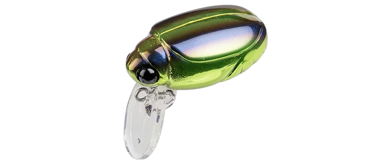 jkfisher1352102