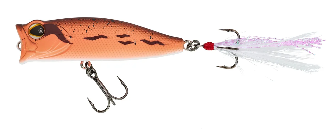 jkfisher1352790