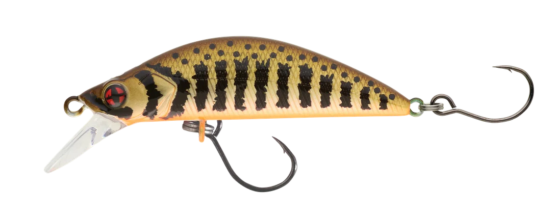 jkfisher1352925