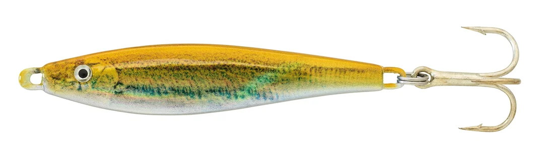 jkfisher1358356