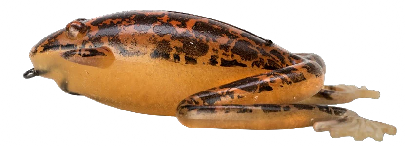 jkfisher1364795