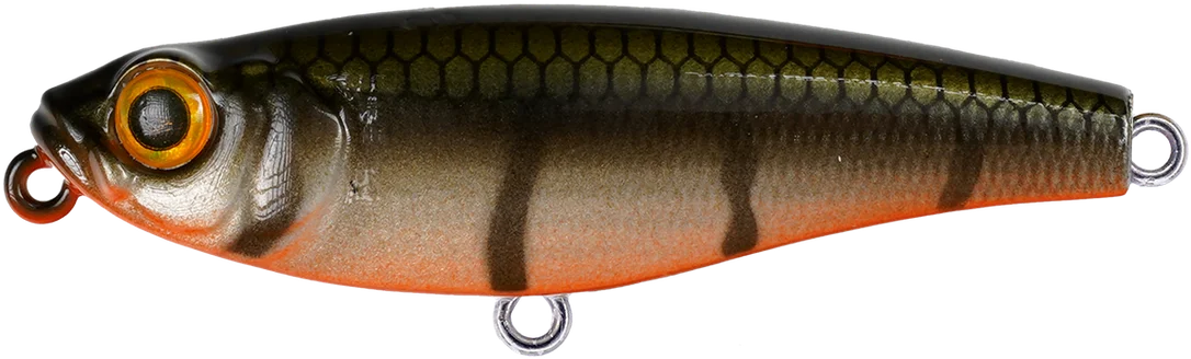 jkfisher1365019
