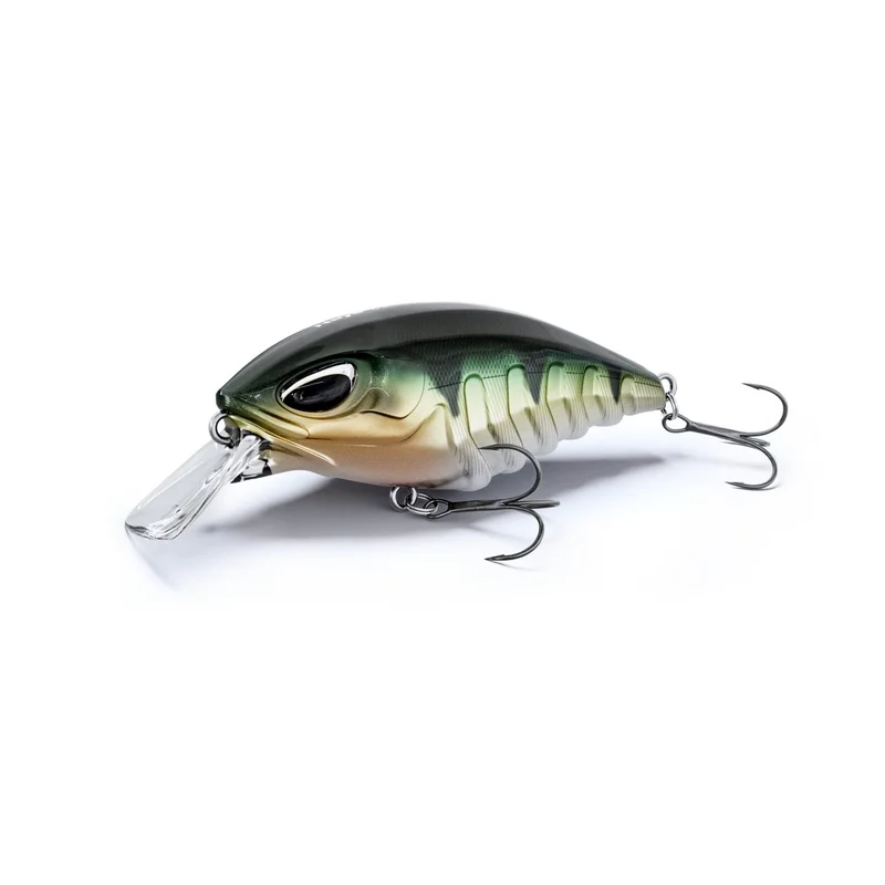 jkfisher1368885
