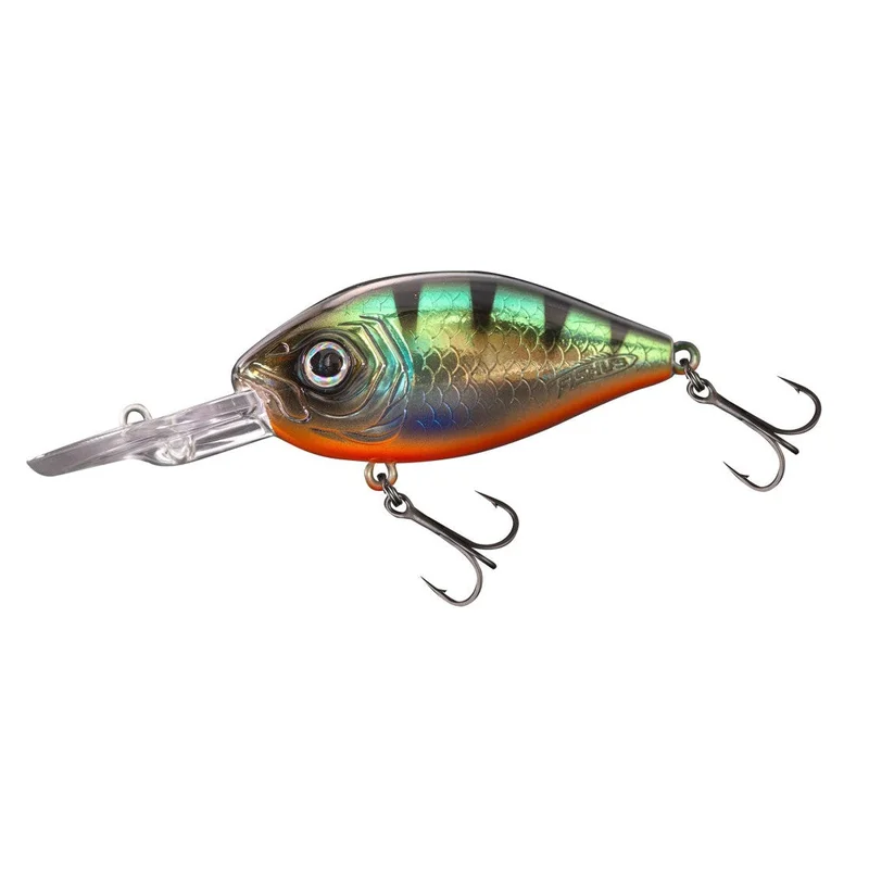 jkfisher1370281