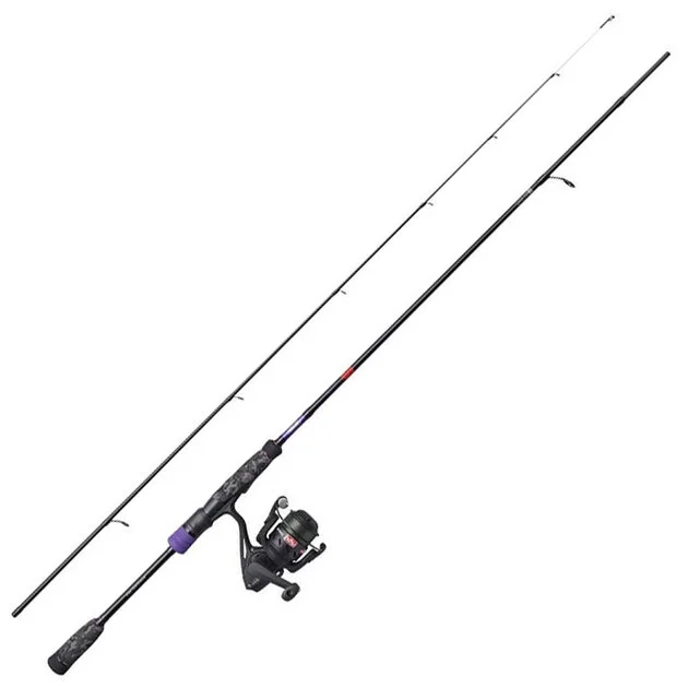 lemmensdiest-2052012