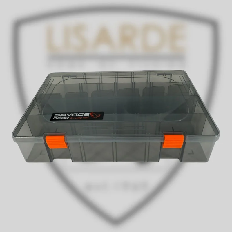 lisarde-1872782