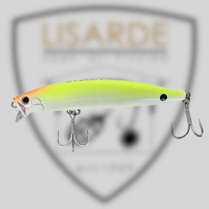 lisarde-1876836