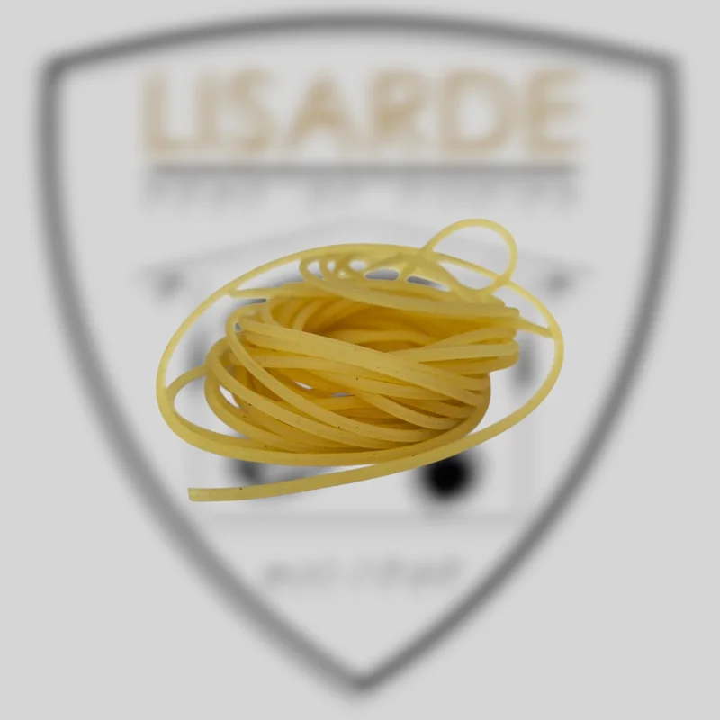 lisarde-1890044