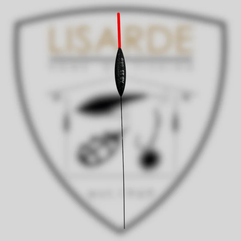 lisarde-1892540