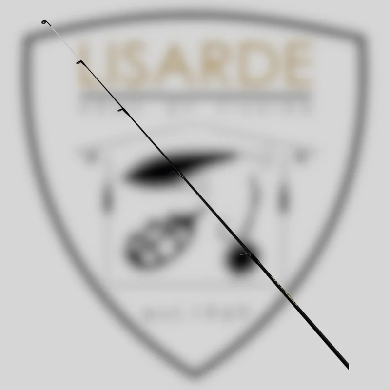 lisarde-1900273