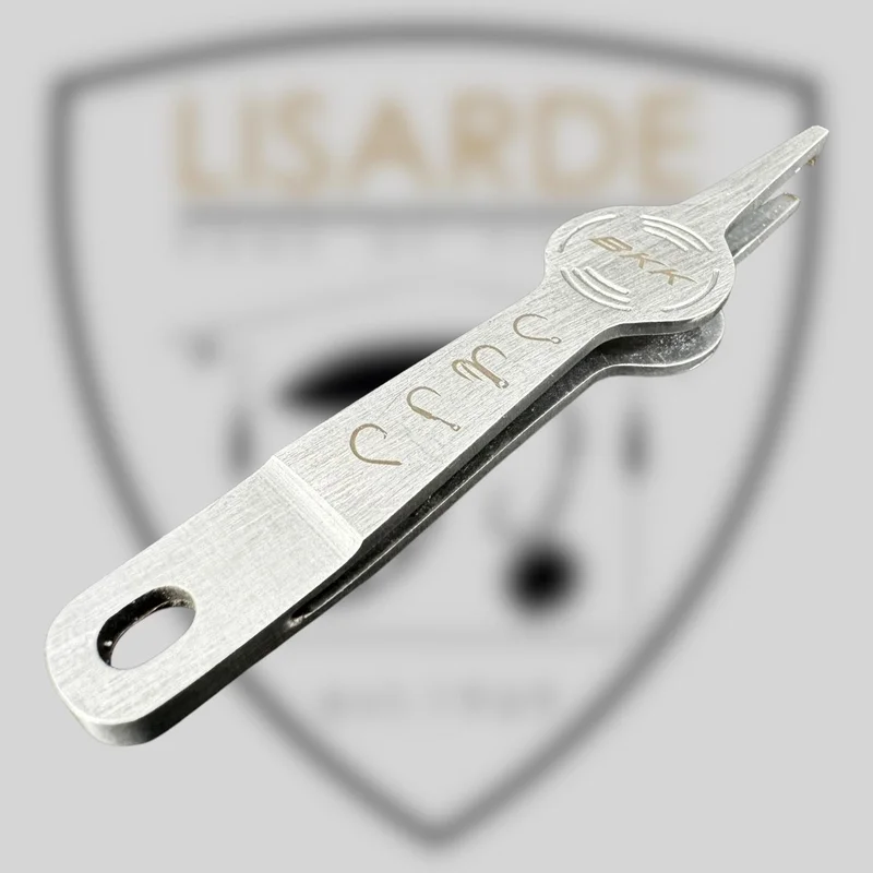 lisarde-1903453