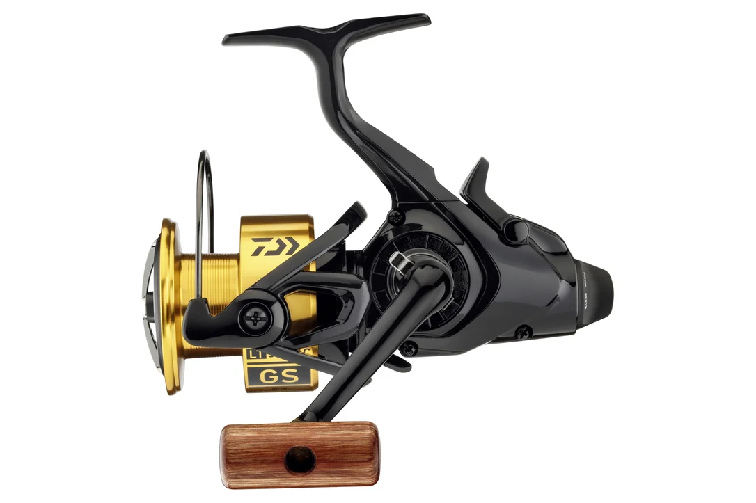 lisarde-1910855