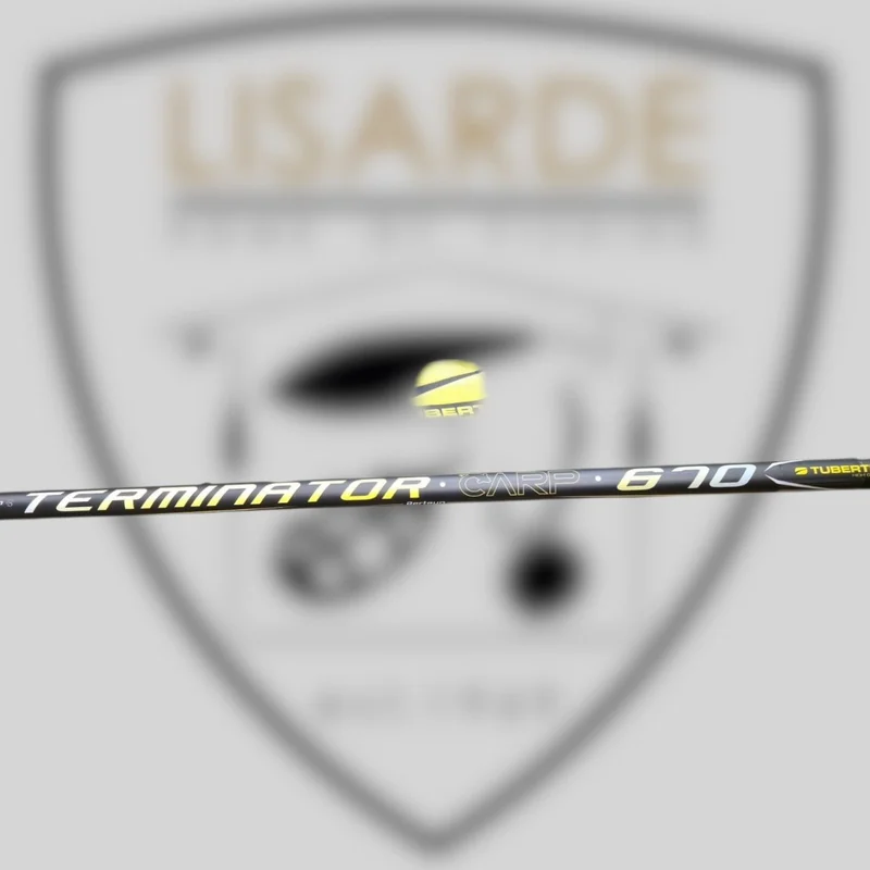 lisarde-1912722