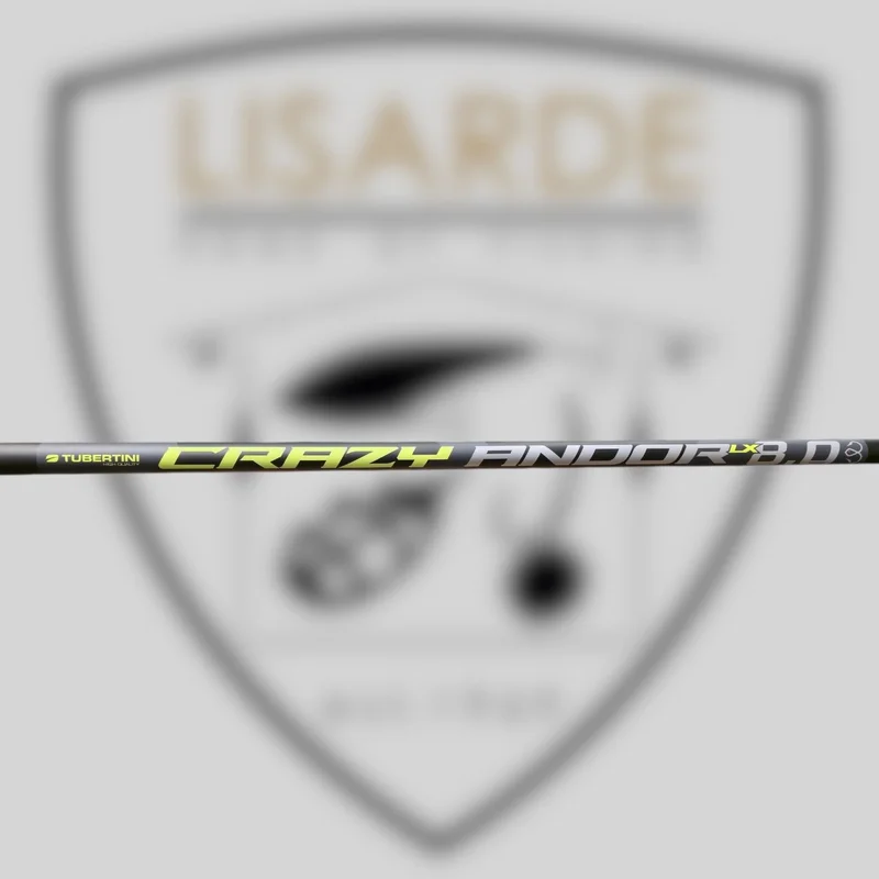 lisarde-1912807