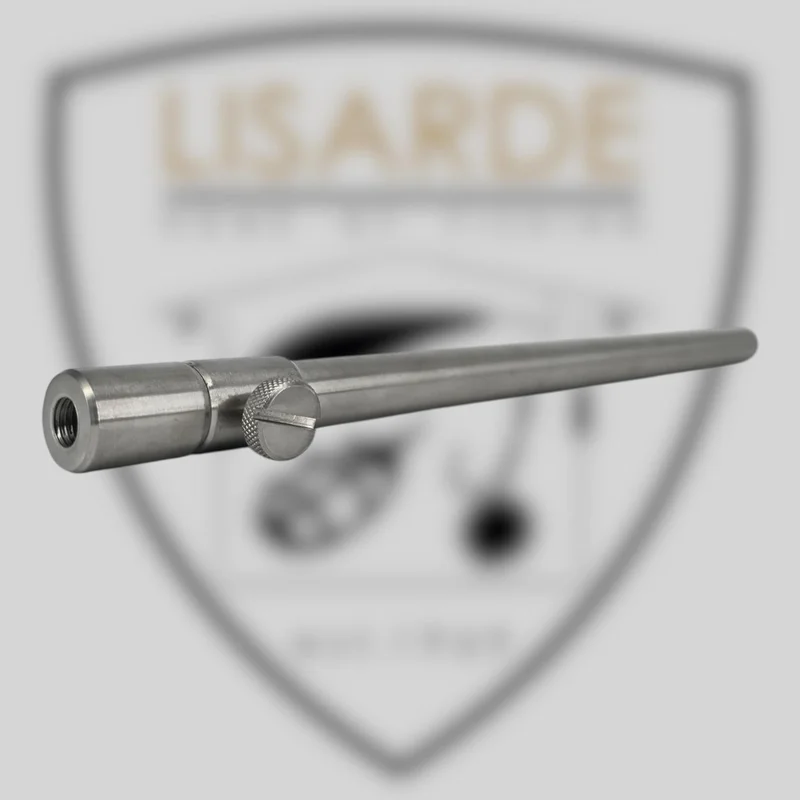 lisarde-1913529