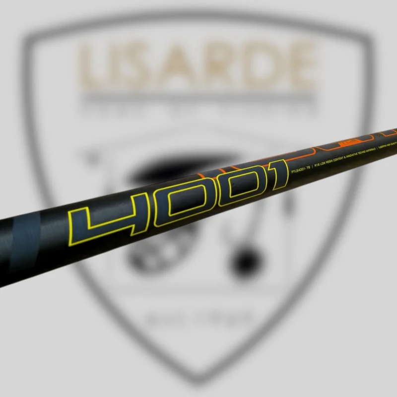 lisarde-1927656