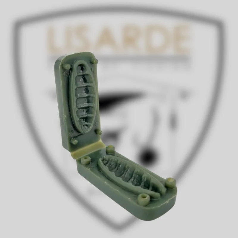 lisarde-1932143