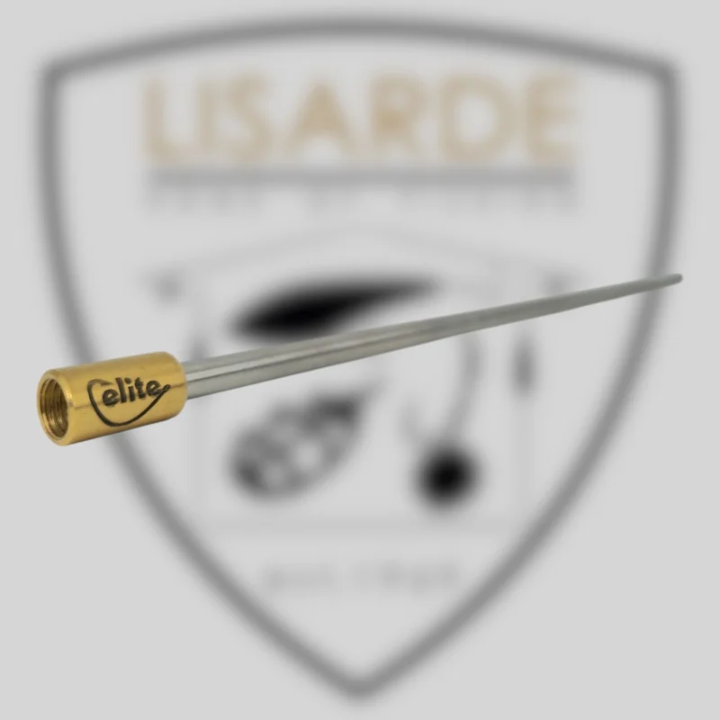lisarde-1933587