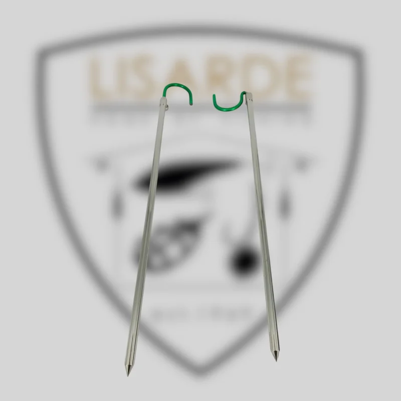 lisarde-1934497