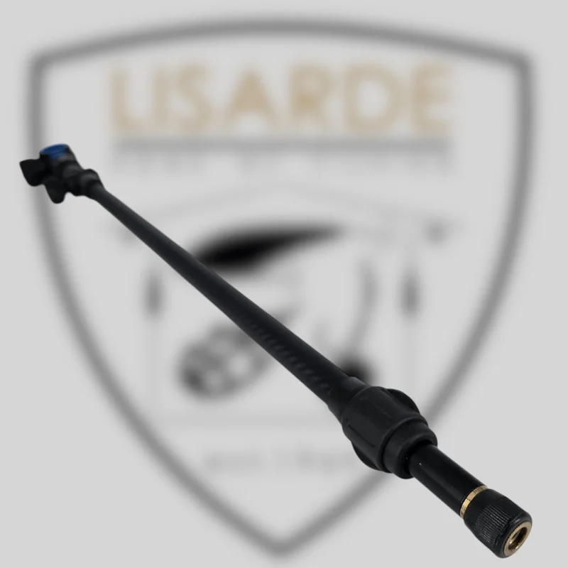 lisarde-1934998