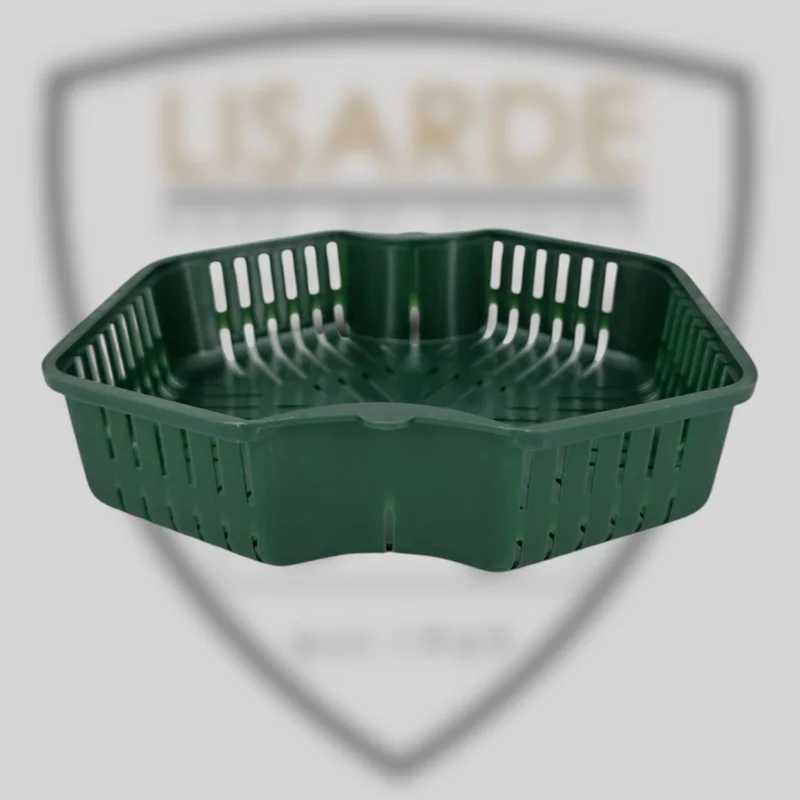 lisarde-1935144