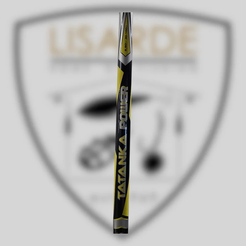 lisarde-1940464