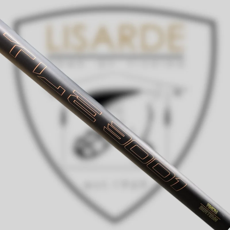 lisarde-1940502