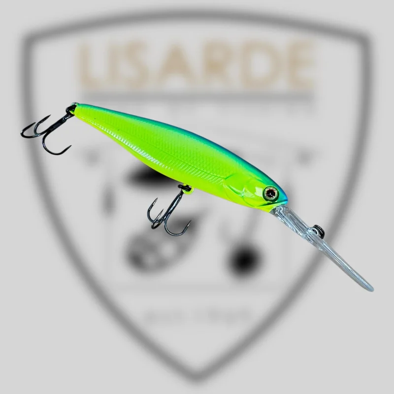 lisarde-1988293