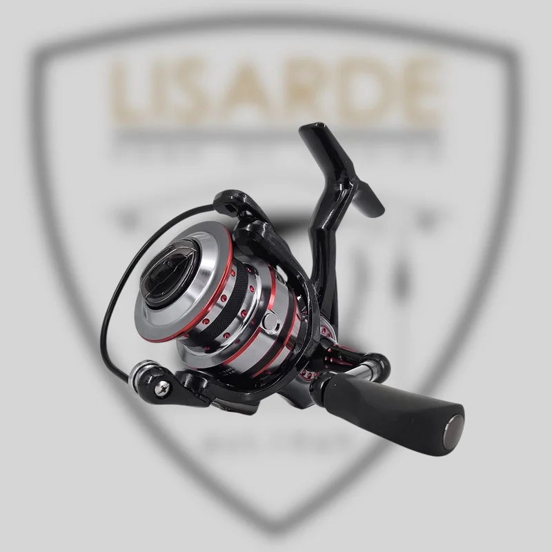 lisarde-2034238