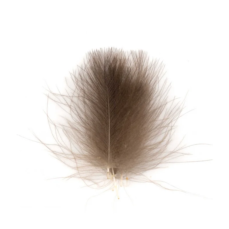 moucheshop-1876907