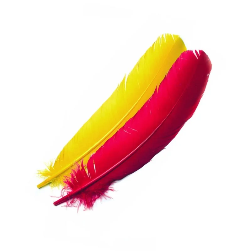 moucheshop-1877007