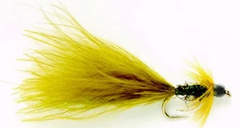 moucheshop-1880661