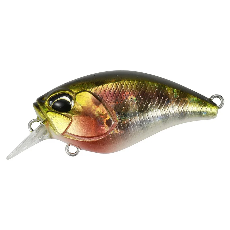 pacificpeche-1849275