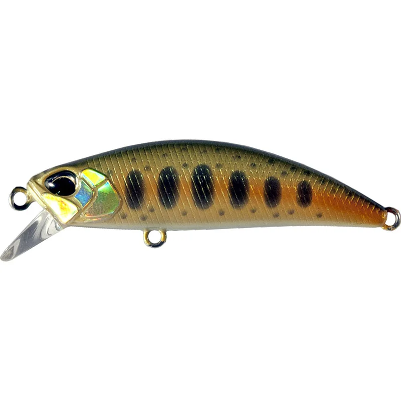 pacificpeche-1849408