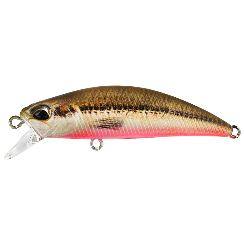 pacificpeche-1849486