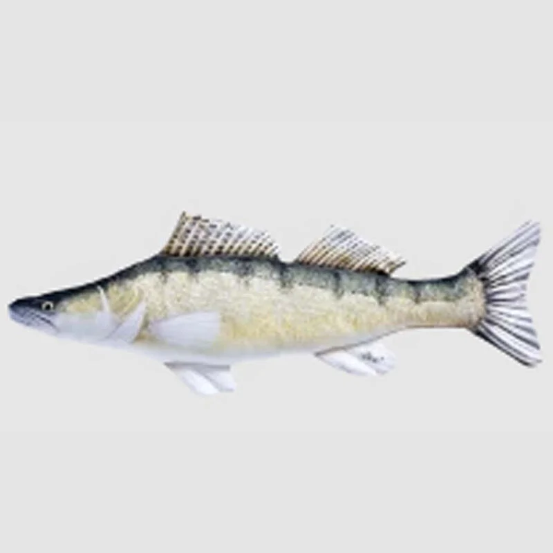pacificpeche-1868833