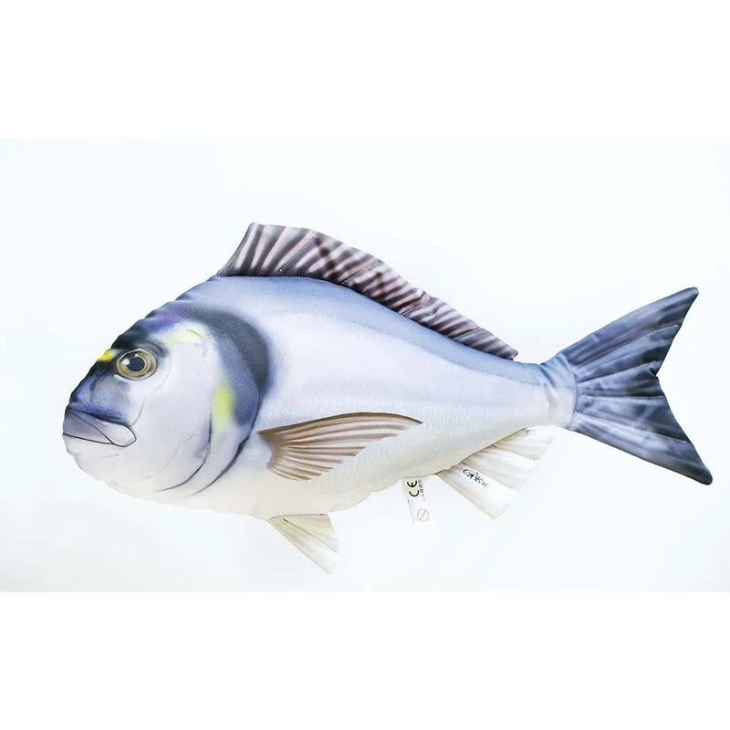 pacificpeche-1868864